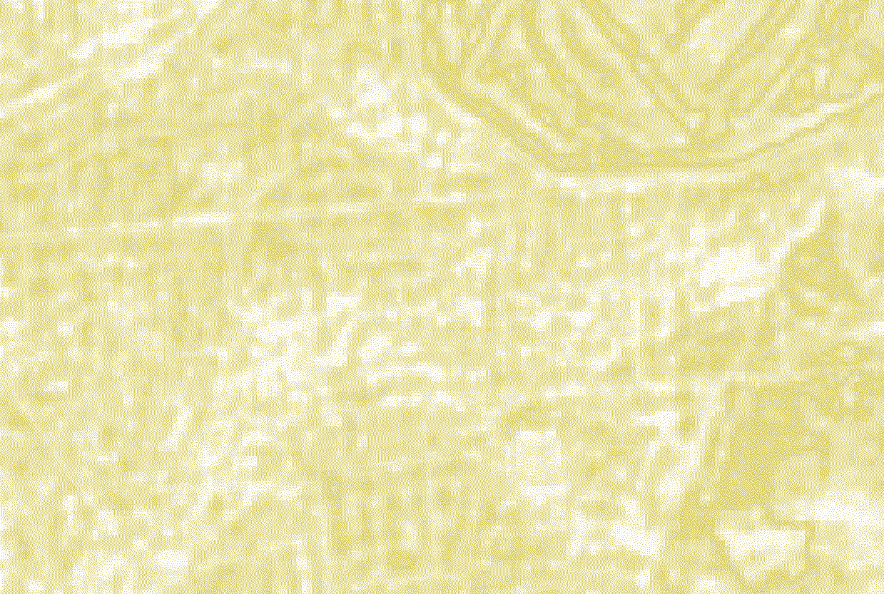 Neural network output (right)