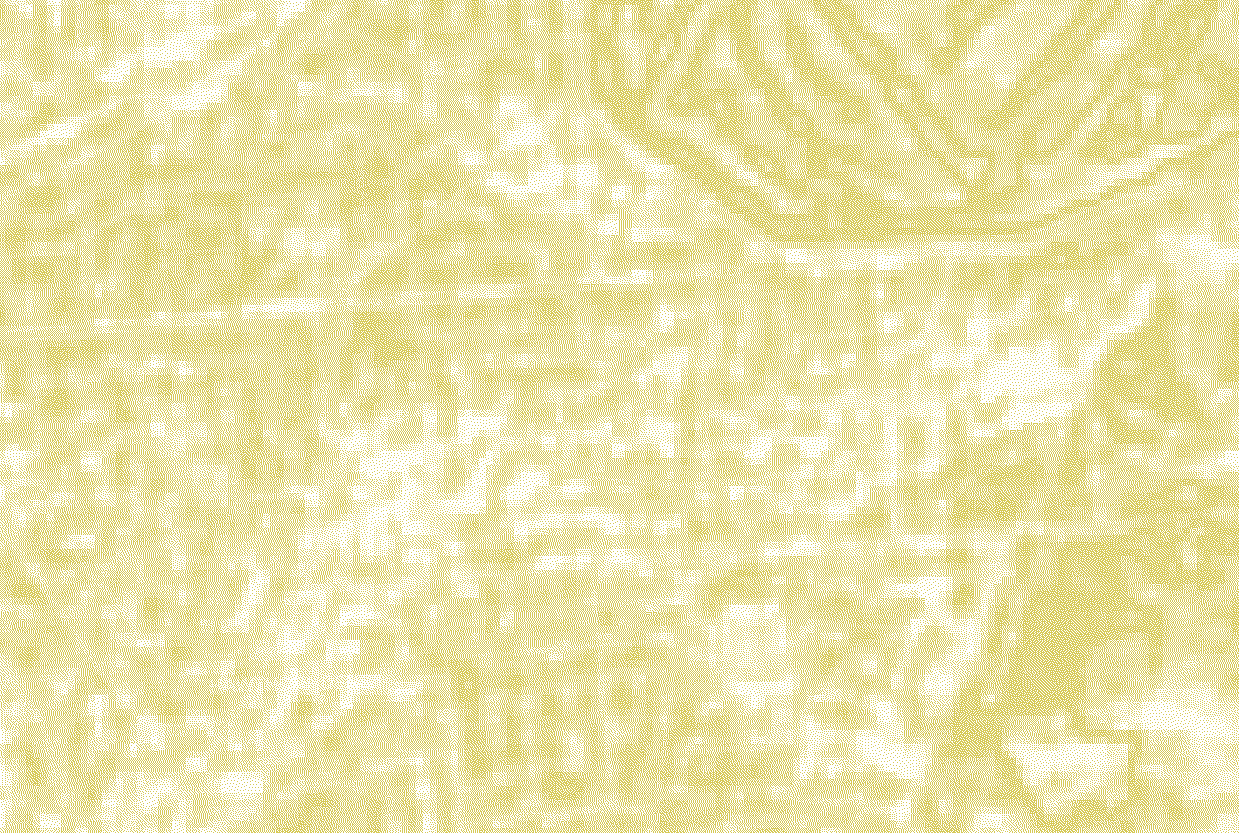 Neural network output (right)